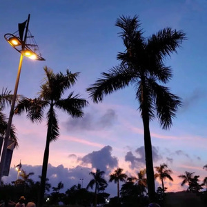 ✘✘✘⺕w❌彐5MMM
