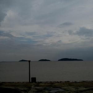 ✘✘✘⺕w❌彐5MMM
