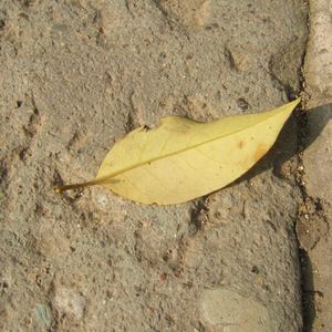 ✘✘✘⺕w❌彐5MMM
