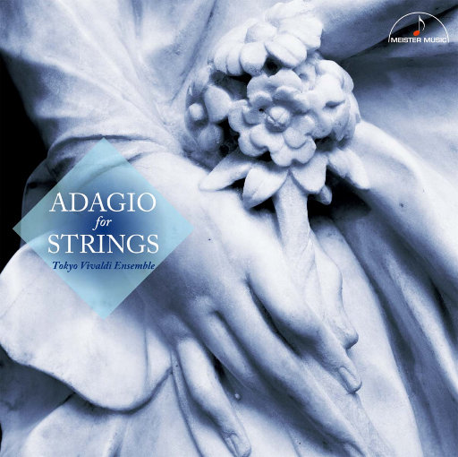 ✘✘✘⺕w❌彐5MMM
